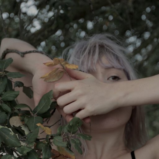 黄色小说嗯嗯啊啊视频试看
